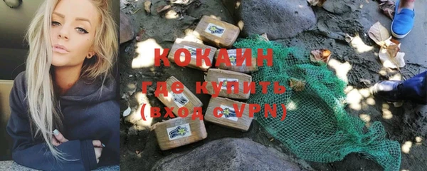 индика Алексеевка
