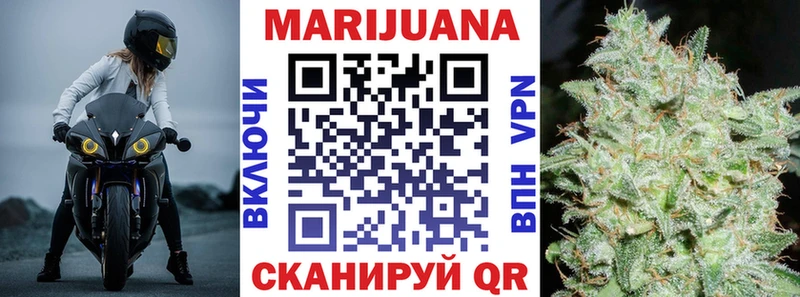 Канабис сатива  купить наркотики цена  Покров 
